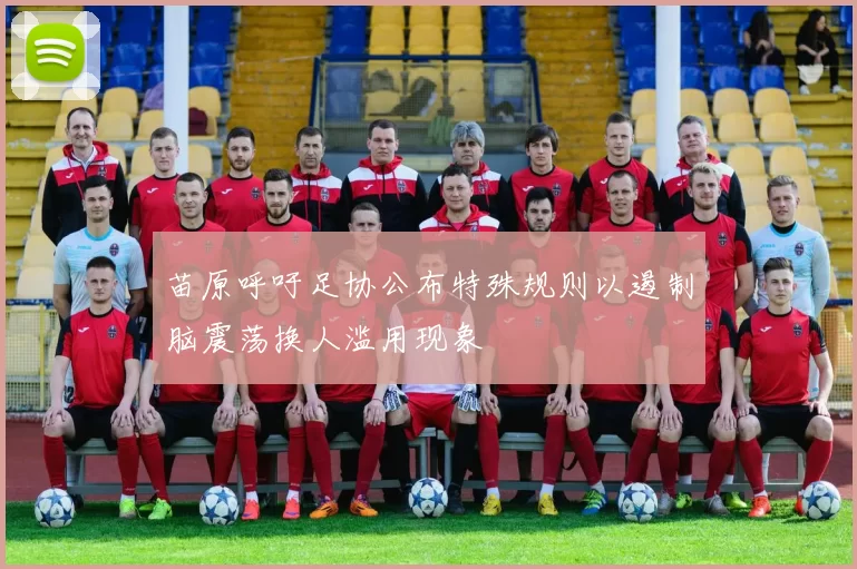 苗原呼吁足协公布特殊规则以遏制脑震荡换人滥用现象