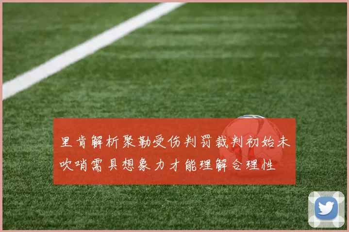 里肯解析聚勒受伤判罚裁判初始未吹哨需具想象力才能理解合理性