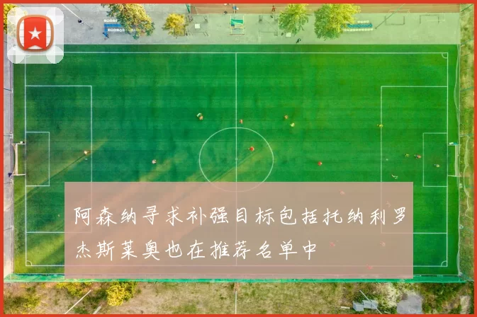 阿森纳寻求补强目标包括托纳利罗杰斯莱奥也在推荐名单中